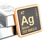 Image of Silver Sponsor