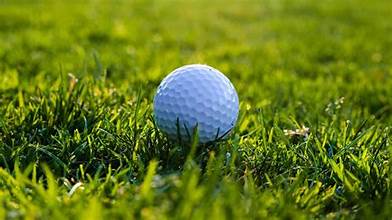 2026 AAWCC Scholarship Scramble - Default Image of Putting Contest Sponsor