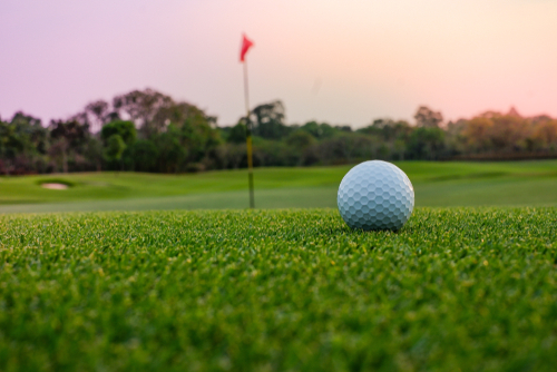 Western Dairy Council Golf Tournament 2026 - Default Image of Silver - Putting Contest