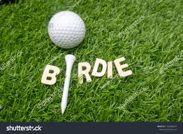 28th Annual Arris Pizza - Help Give Hope Charity Golf Tournament - Default Image of Birdie Sponsor