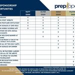 Image of Platinum Sponsorship