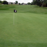 Image of Green Sponsor