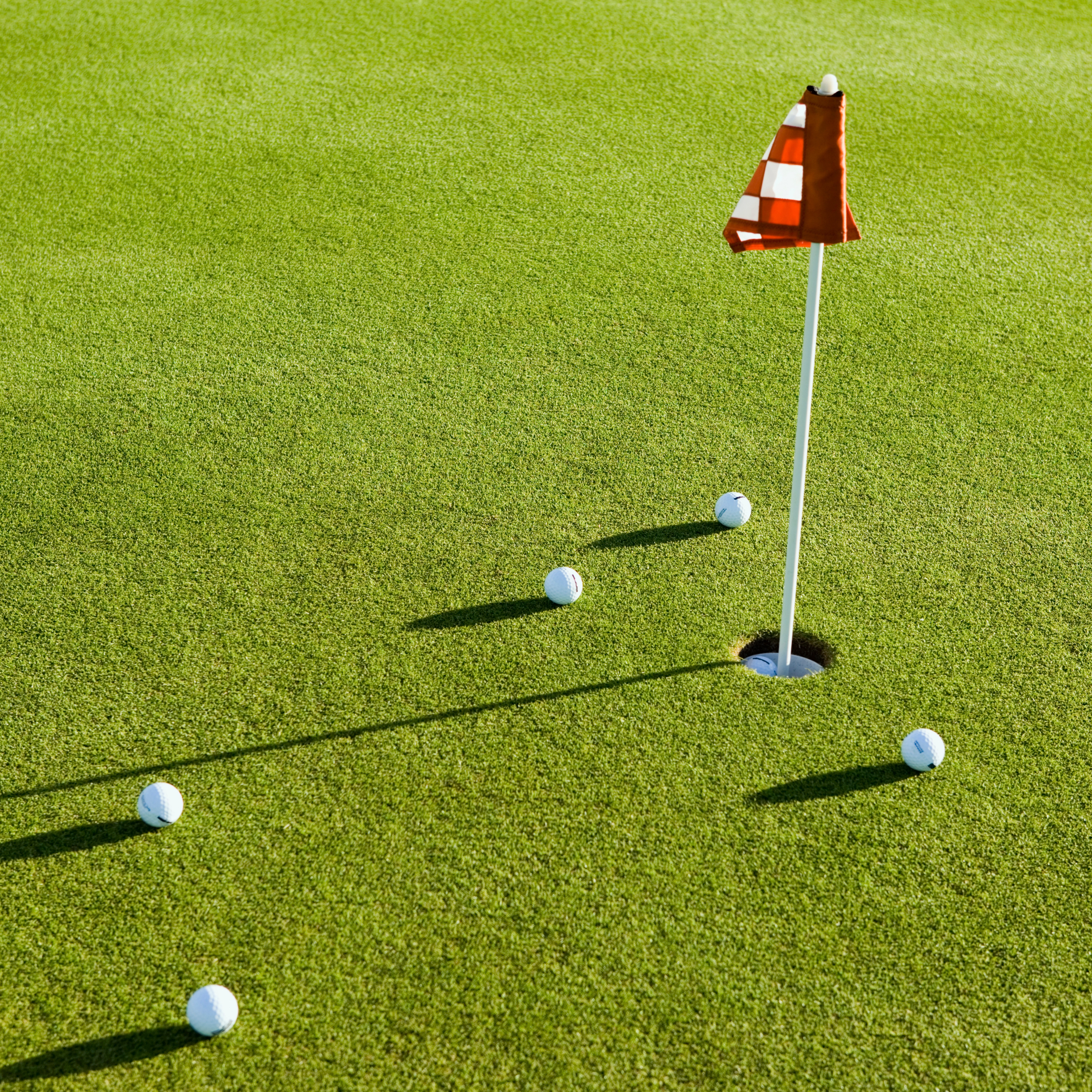 6th Annual Ary Land Company Invitational - Default Image of Putting Green Sponsor