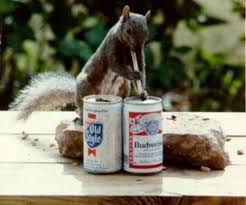 2026 Loyal Order of The Squirrels Golf Tournament - Default Image of Drink Cart Sponsor