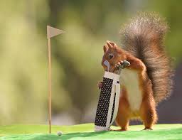 2026 Loyal Order of The Squirrels Golf Tournament - Default Image of Closest To The Pin Sponsor