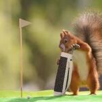 Image of Closest To The Pin Sponsor