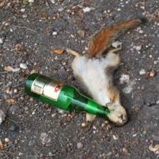 2026 Loyal Order of The Squirrels Golf Tournament - Default Image of Bloody Mary / Screwdriver Bar Sponsor