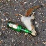 Image of Bloody Mary / Screwdriver Bar Sponsor