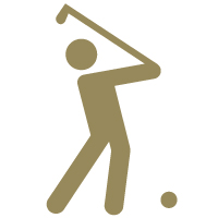 Image of Gold Sponsor