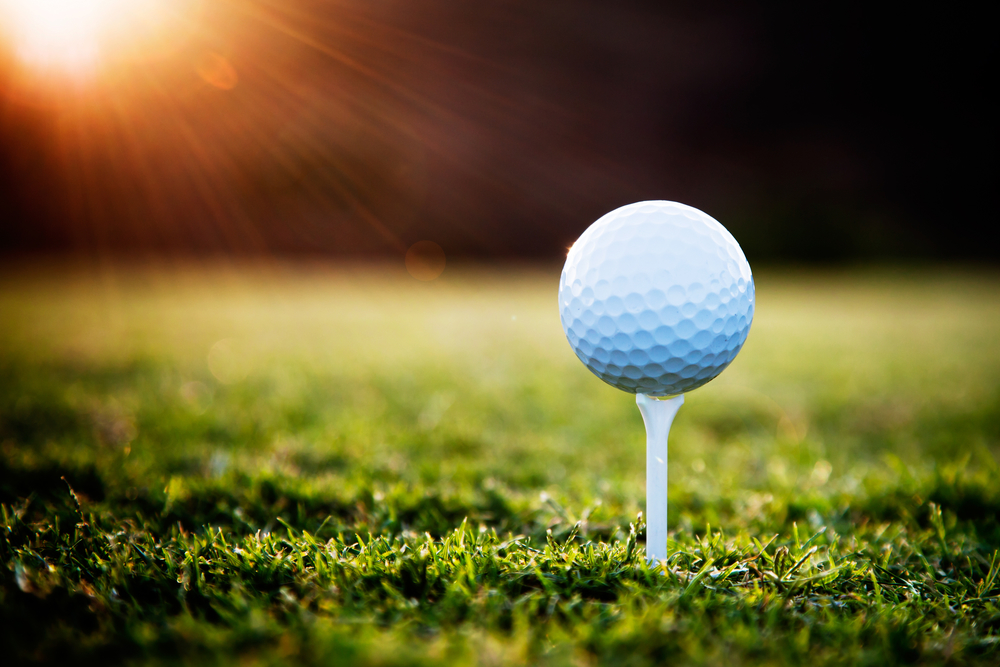 Image of Prize Sponsor