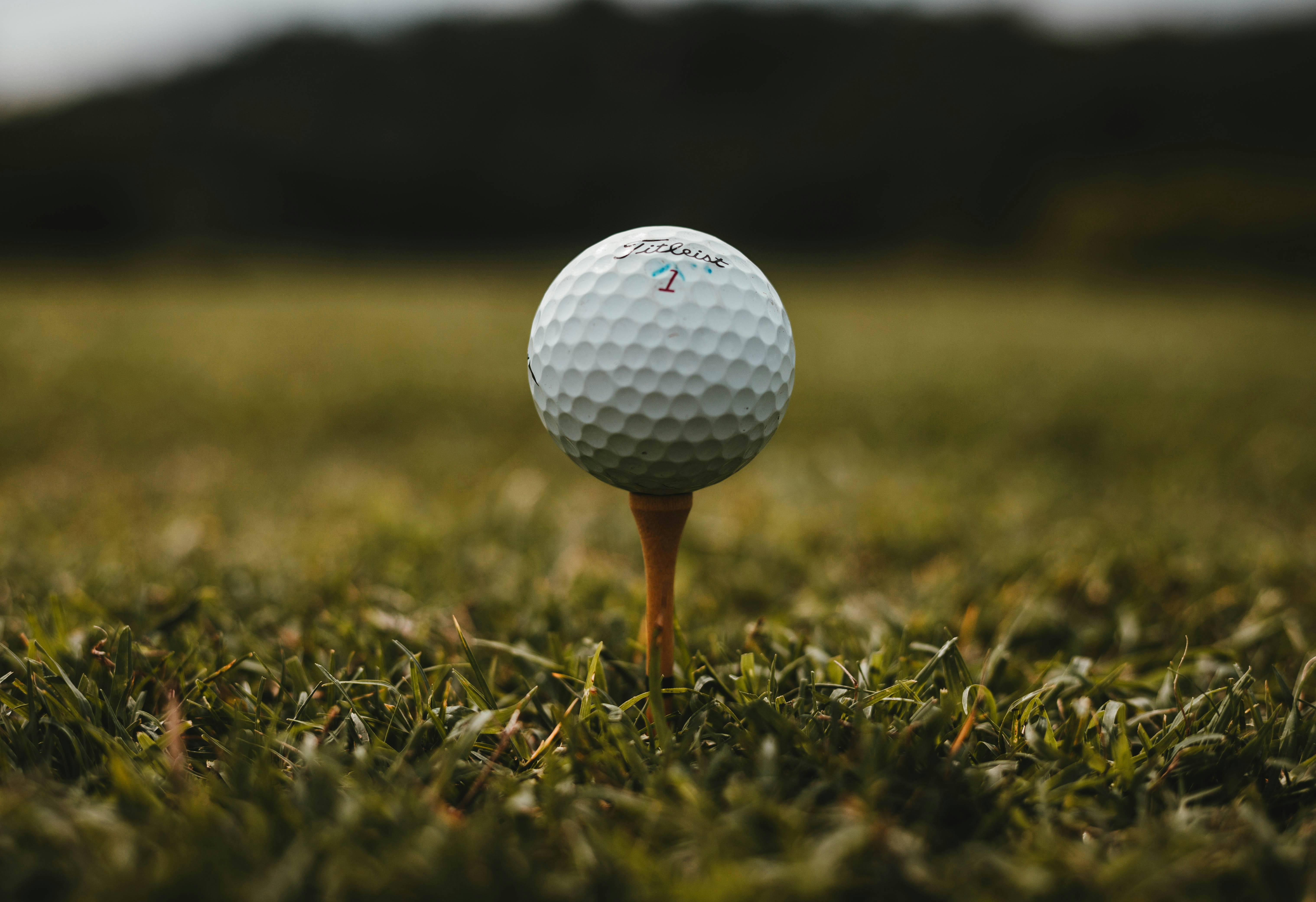 Image of Mulligan