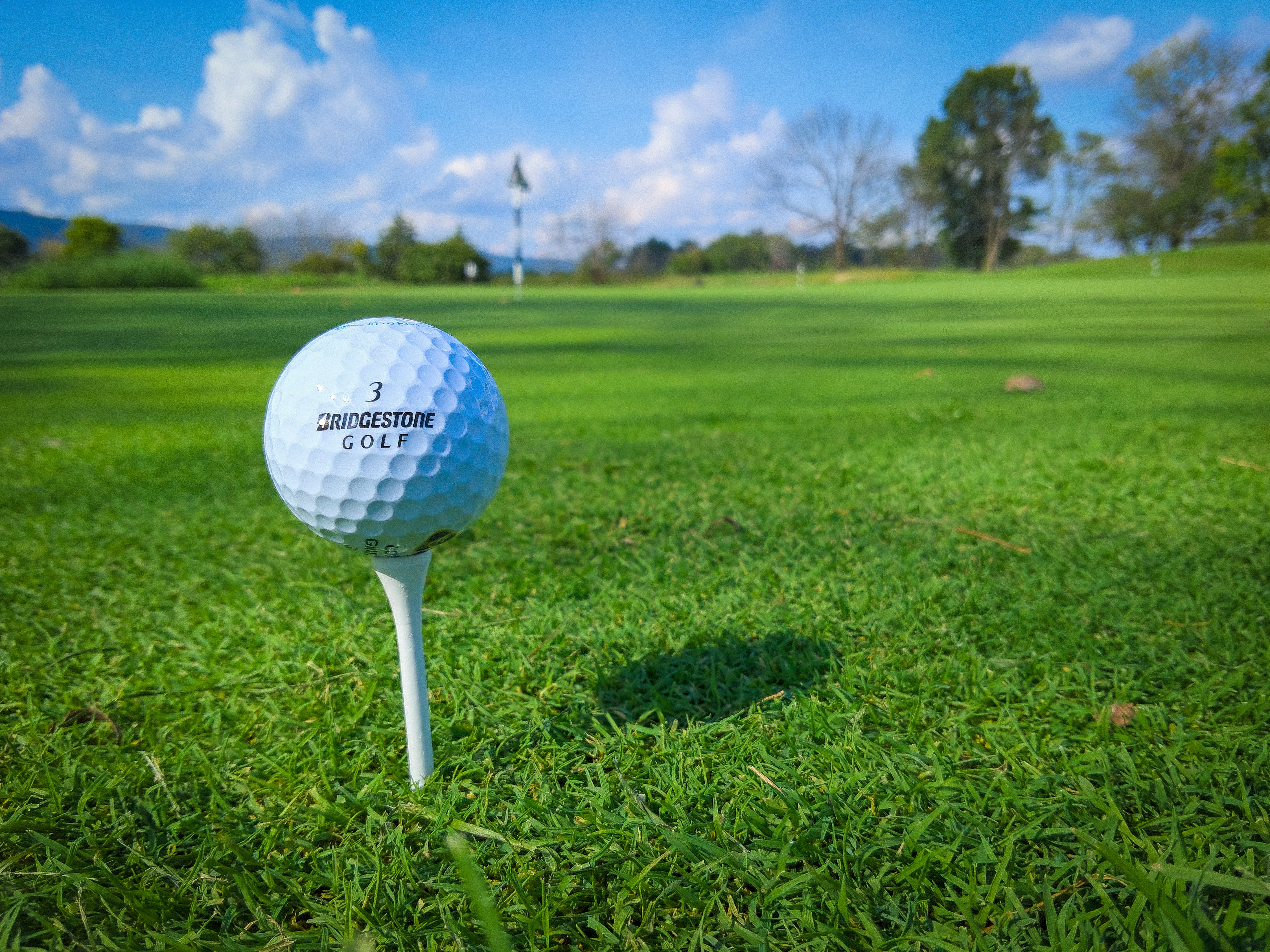 Fuller Center For Housing of Greater NYC 25th Annual Golf Outing - Default Image of Tee Sign Signage (signage only)
