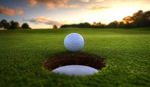 2026 SWLL Golf Tournament - Default Image of Title Sponsor