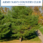 Image of Dinner & Awards Reception Sponsor