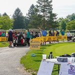 Image of Golden Bear