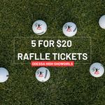 Image of 5 for 20 Raffle ticket