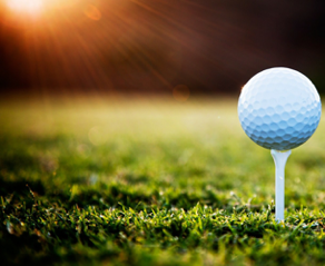16th Annual Merrick Group Classic - Default Image of Tournament Sponsor