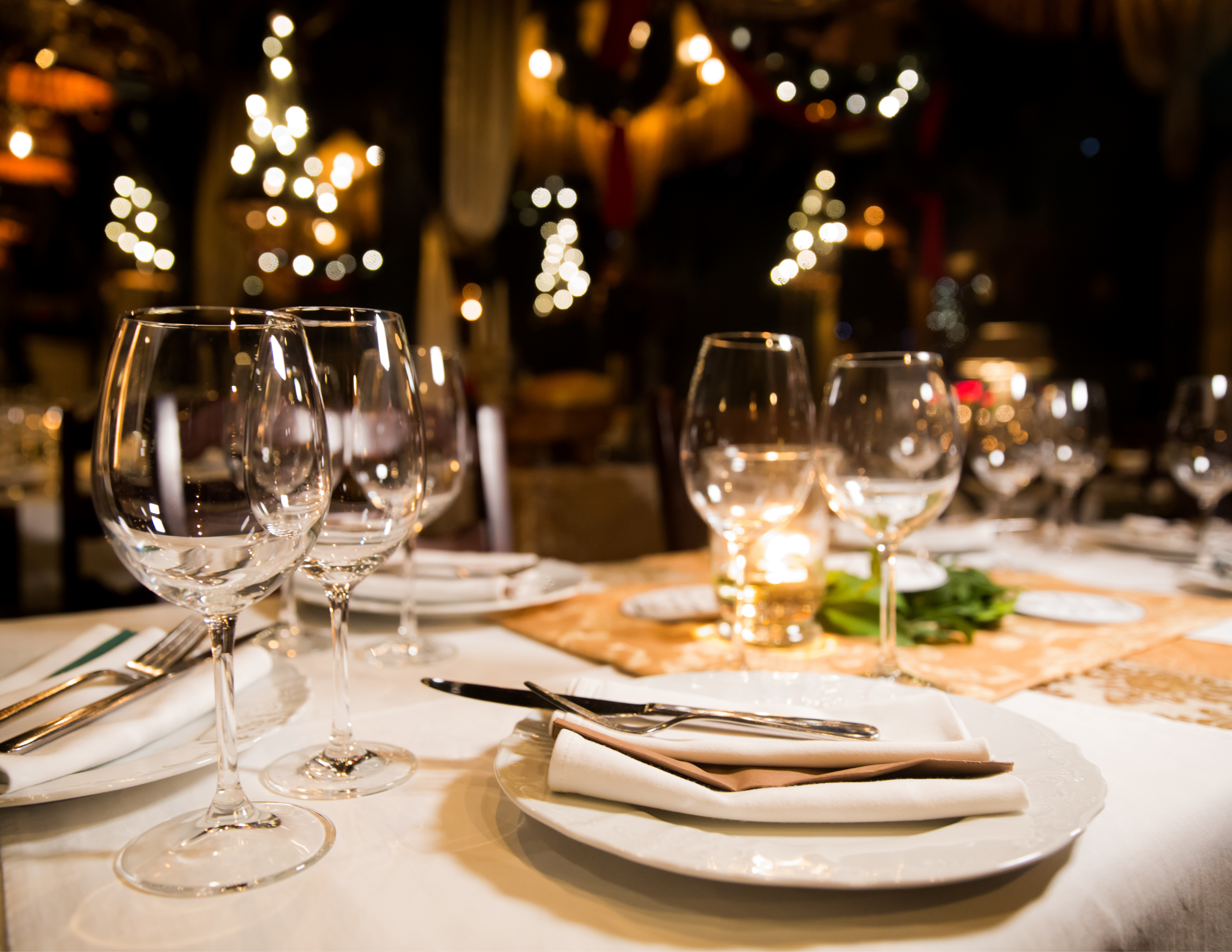 Image of Dinner Sponsorship