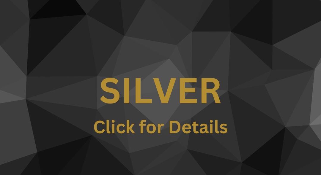 2026 North Carolina Triangle Alphas Charity Golf Event - Default Image of Silver Level Sponsorship 