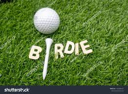 Image of Birdie Sponsor