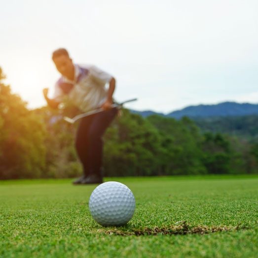 4th Annual Bellingham Christian School Golf Tournament - Default Image of Putting Contest Sponsor