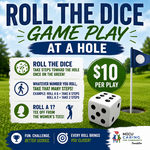 Image of Roll the Dice