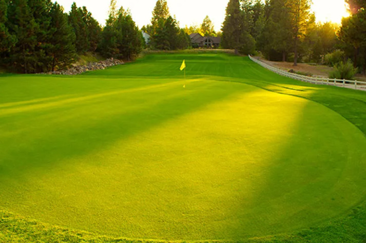 Image of Back Nine Sponsor