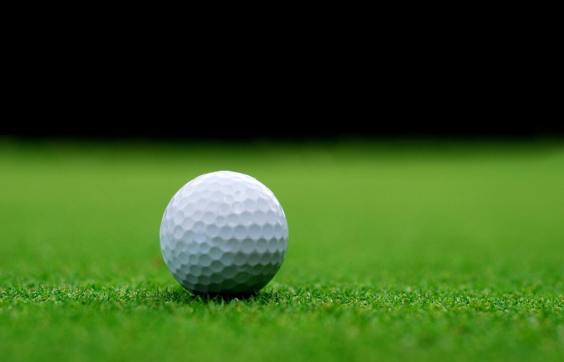 Image of Mulligan