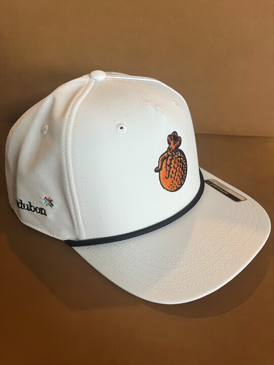 the Invitational XI - Default Image of Hat Sponsor