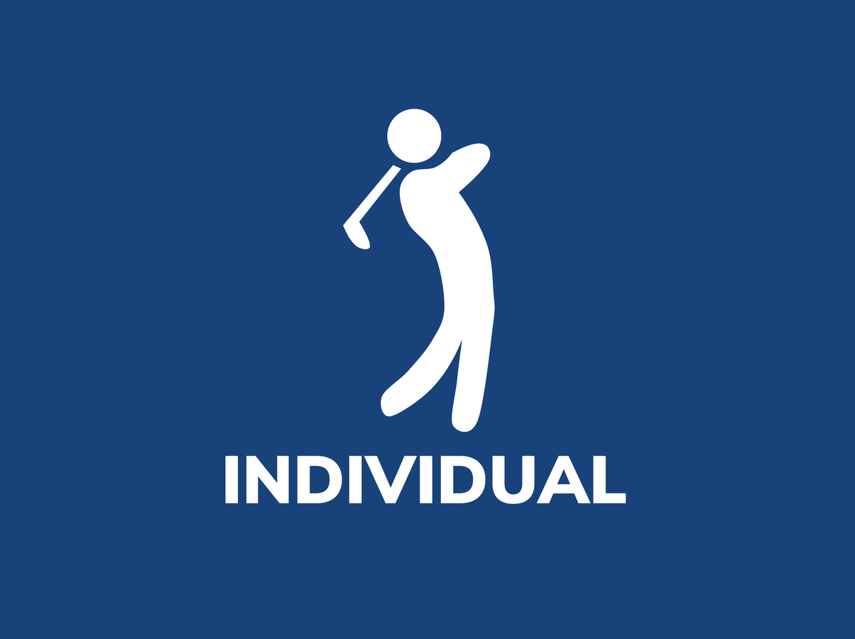 Image of INDIVIDUAL PLAYER