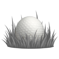 Image of FAIRWAY MULLIGAN (1)