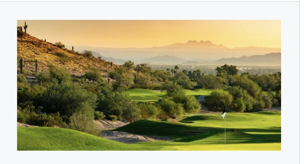 Canine Companion LTD, Az. Intl Beauty Pgt. &  Fearless and Focused Inc, First Annual Golf Tournament - Default Image of Putting Green Sponsor