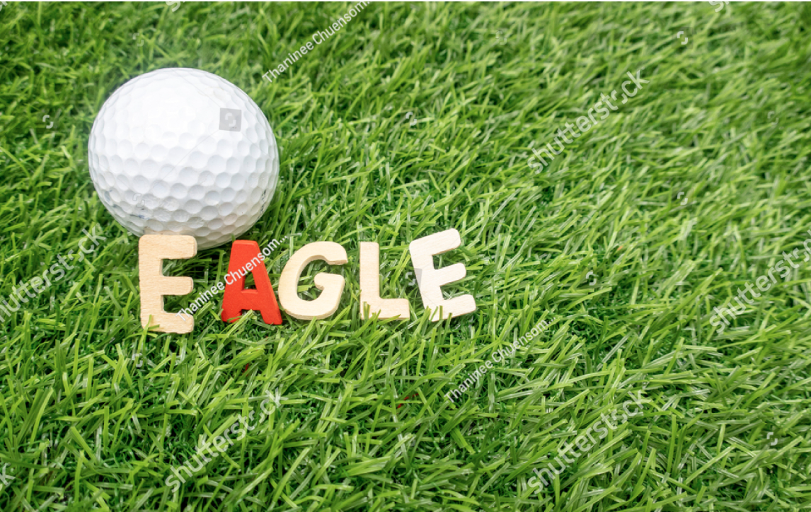 Image of Eagle Sponsorship