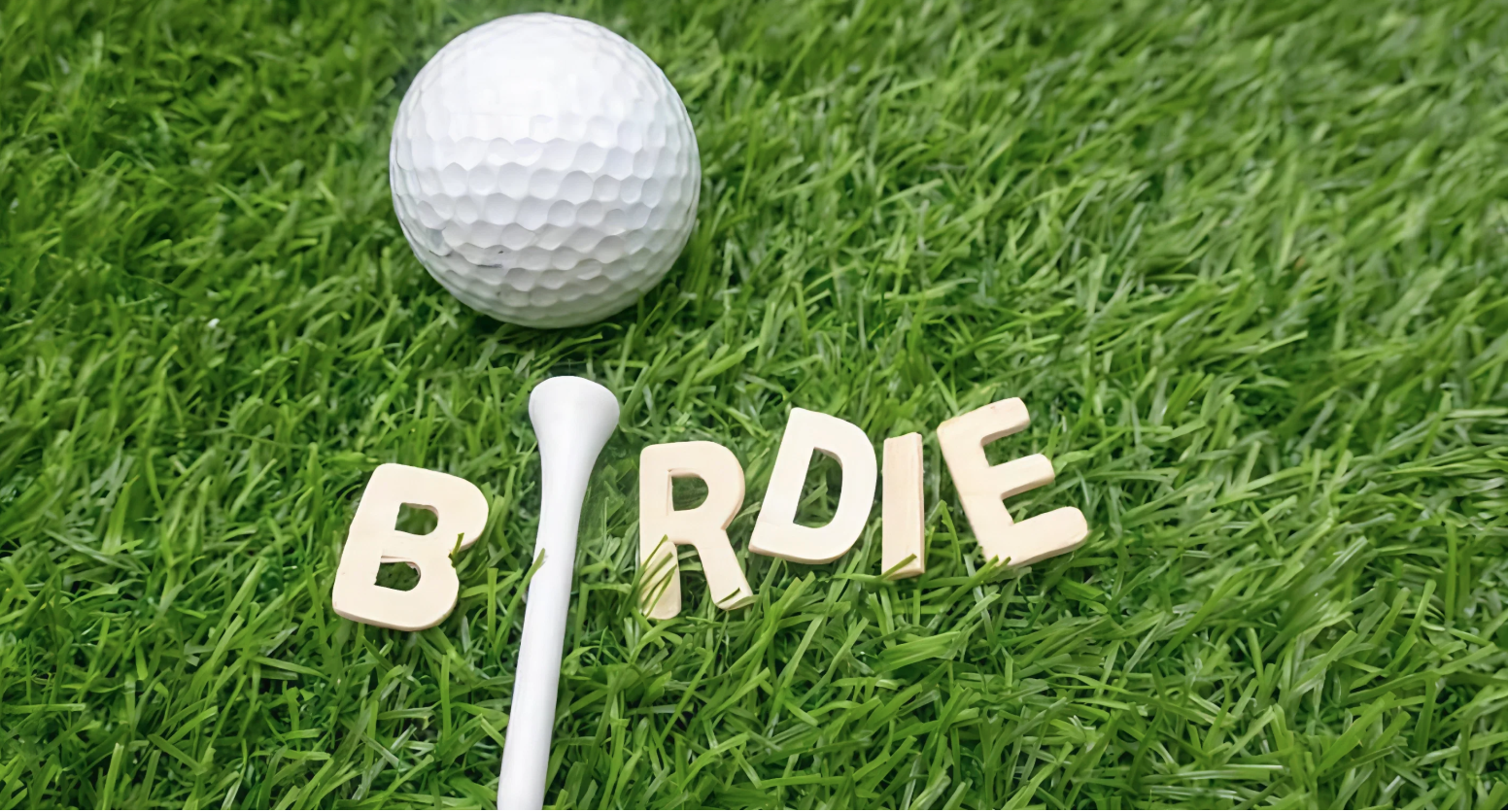 Image of Birdie Sponsorship