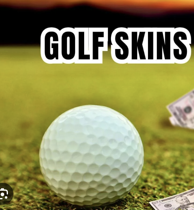 Image of Skins (1)
