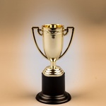 Image of Awards Ceremony Sponsor