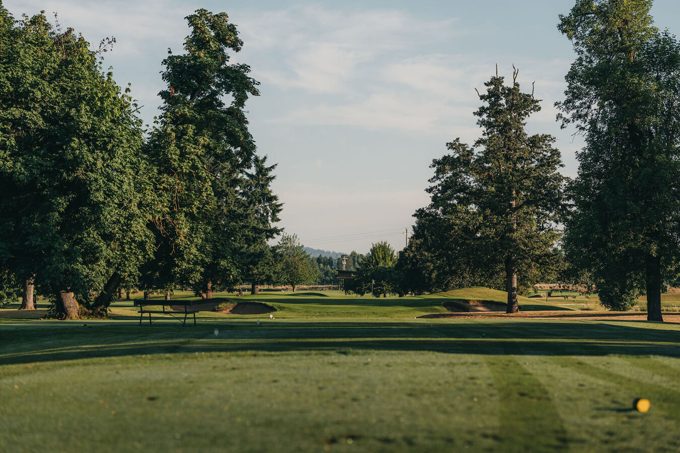 Image of Hole Sponsorship