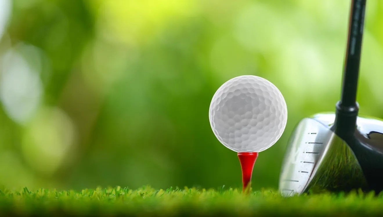 Image of Longest Drive