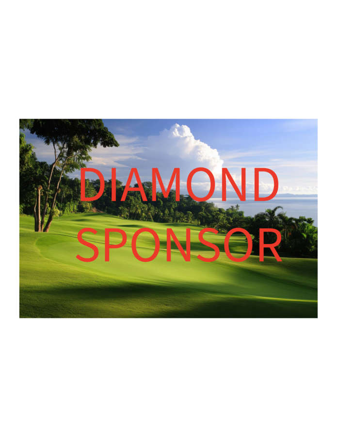 Image of Diamon Sponsor $4,000 