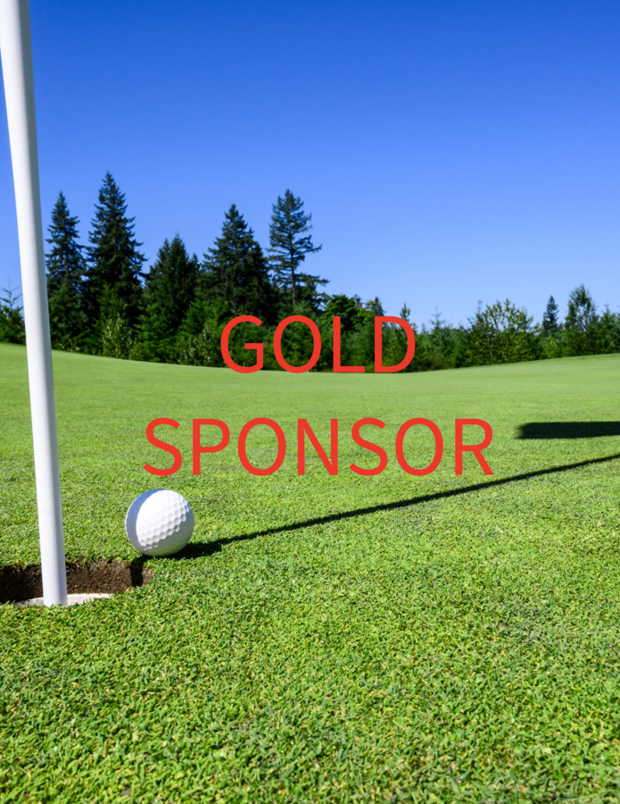 Image of Gold Sponsor $2,000