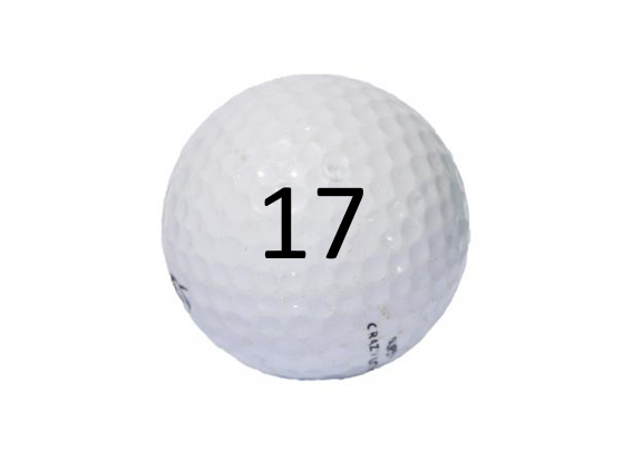 Image of Golf Ball #17