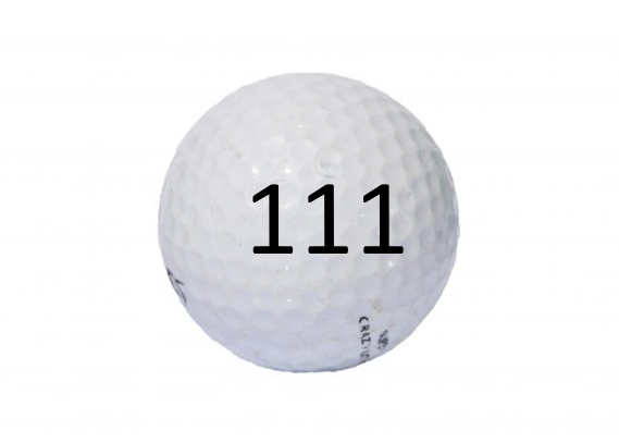 Image of Golf Ball #111