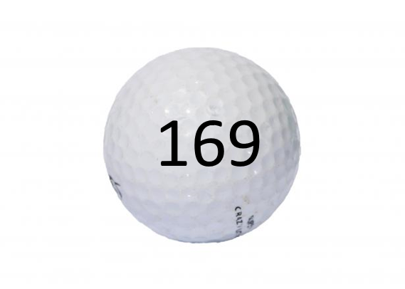 Image of Golf Ball #169