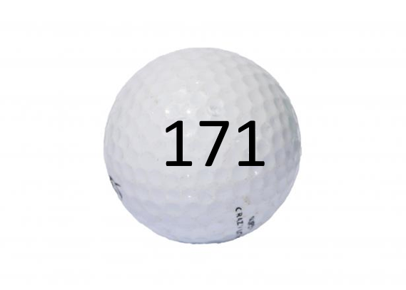 Image of Golf Ball #171