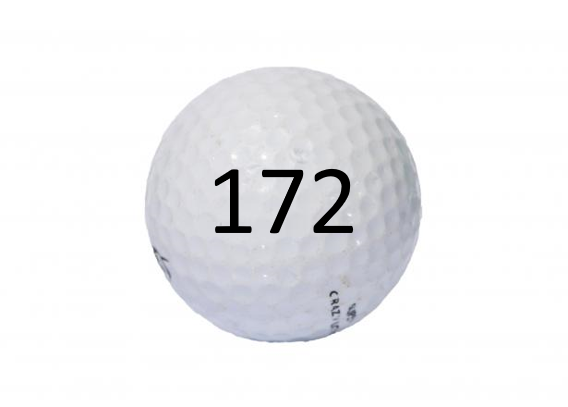 Image of Golf Ball #172