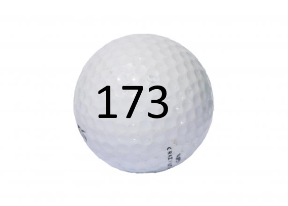 Image of Golf Ball #173