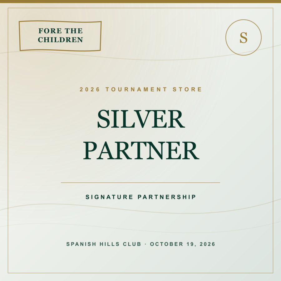 Image of Silver Partner