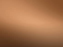 Image of Bronze Sponsor