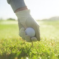 Image of Birdie Sponsor - Farmers Insurance