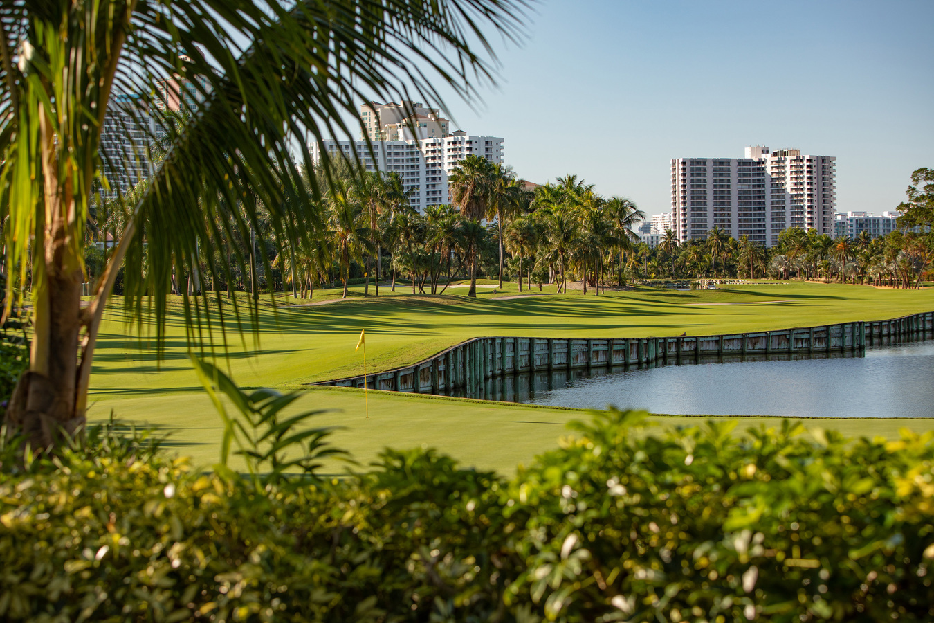 Image of Longest Drive Sponsor, Men and/or Women